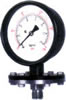 Akvalo Flanged Sealed Guages