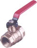 Gun Metal Ball Valve