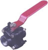 Gun Metal Ball Valve