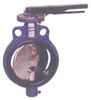 Cast Iron Butterfly Valve