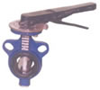 Cast Iron Butterfly Valve