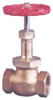 Gun Metal Steam Valve