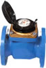 Domestic Type Water Meter